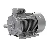 Alacsony feszültségű AC motor